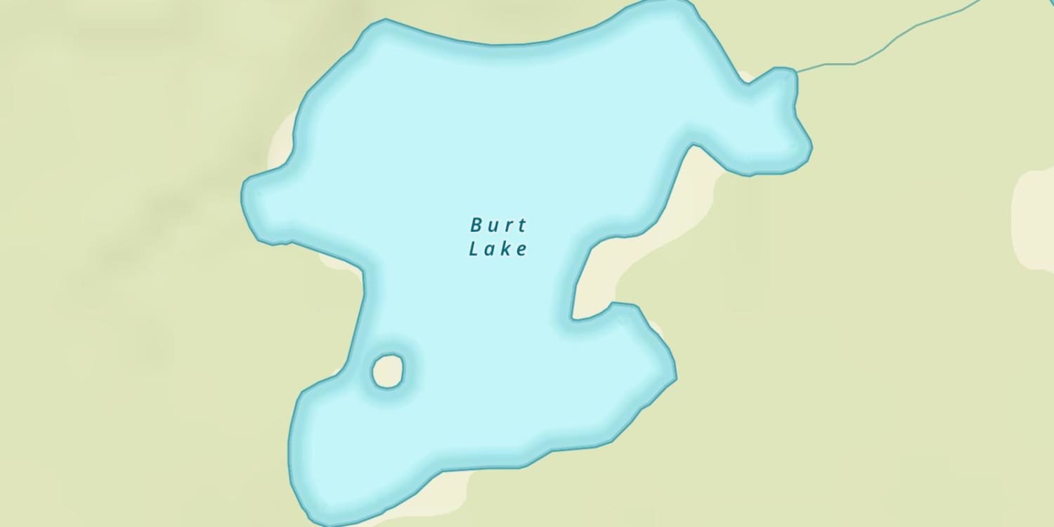 Burt Lake