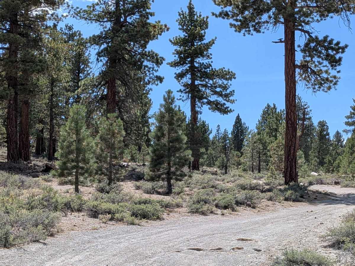 Pumice Mine Spur - FS1S40D/FS1S40A trail photo