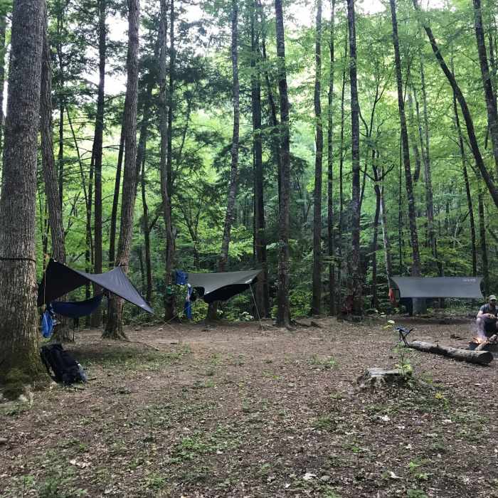 Camp 71 is a great spot (good for both hammocks and tents) with an excellent creek. Near Forney Creek Trail