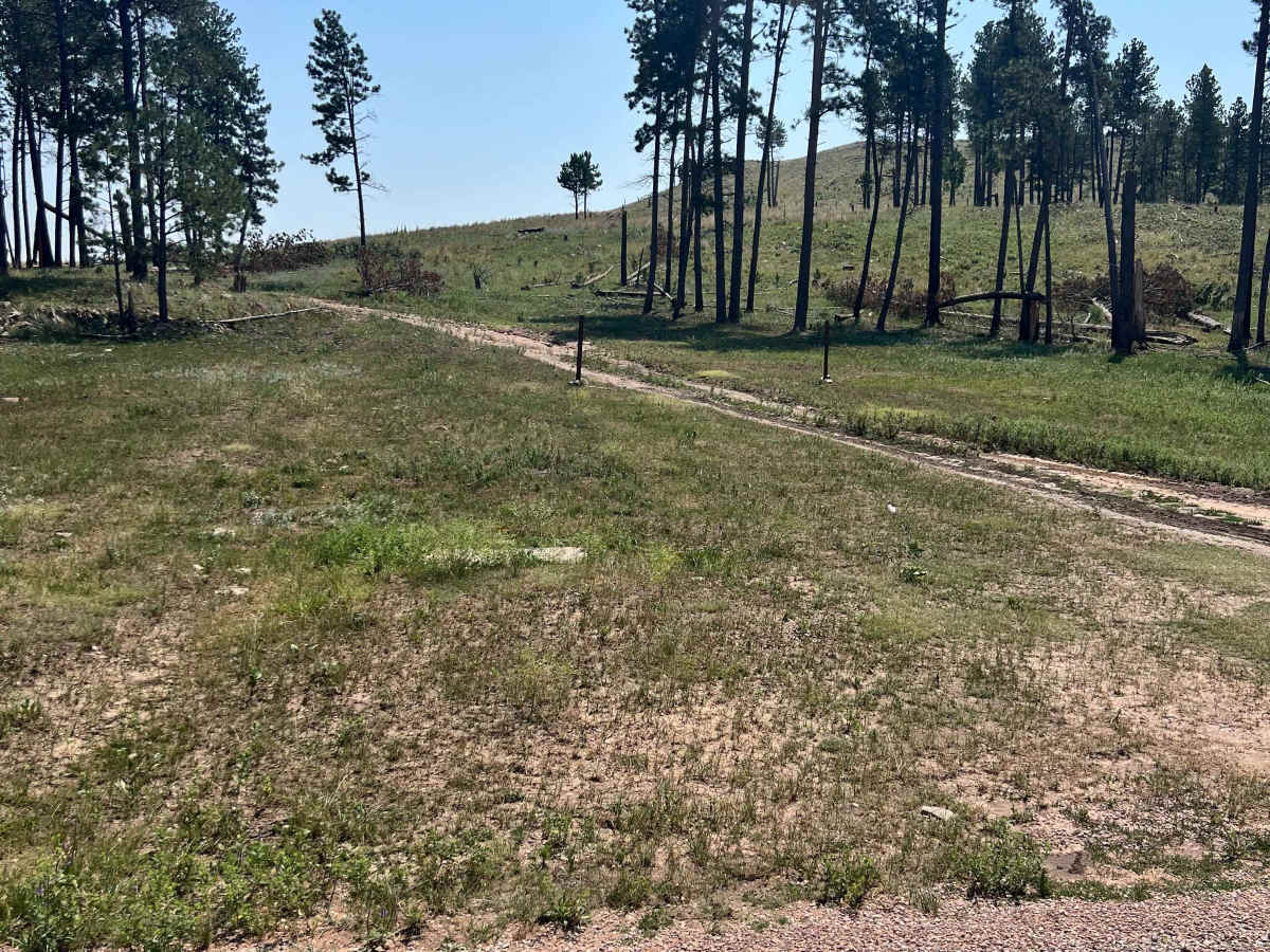 Swint Road photo 6