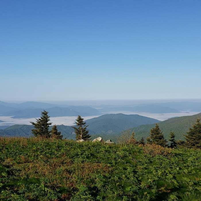 Near Grassy Ridge Bald Trail