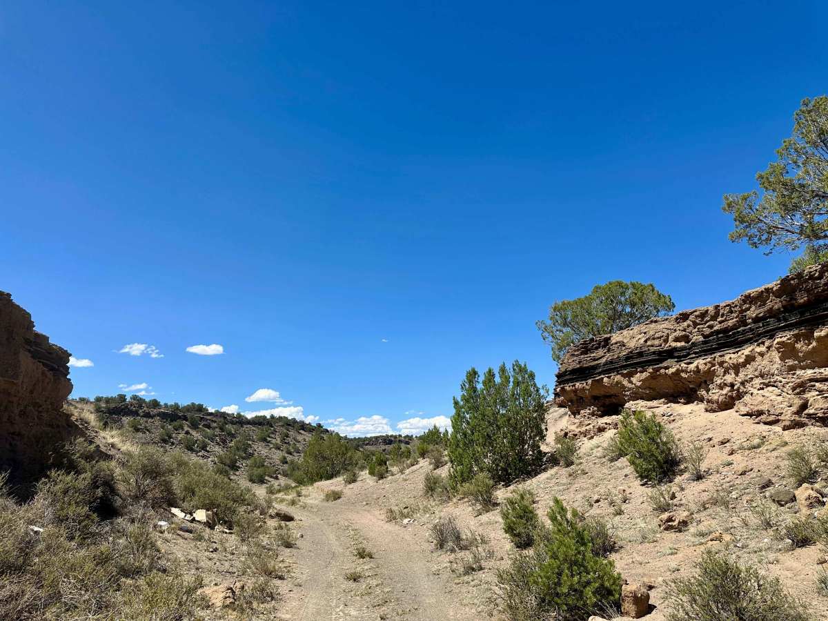 FS 24BB trail photo