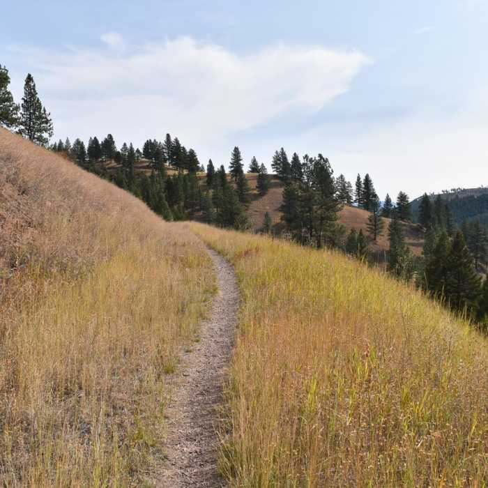 Near North O'Brien Creek Loop