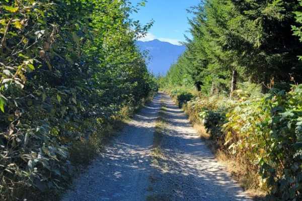 North Mountain Trail