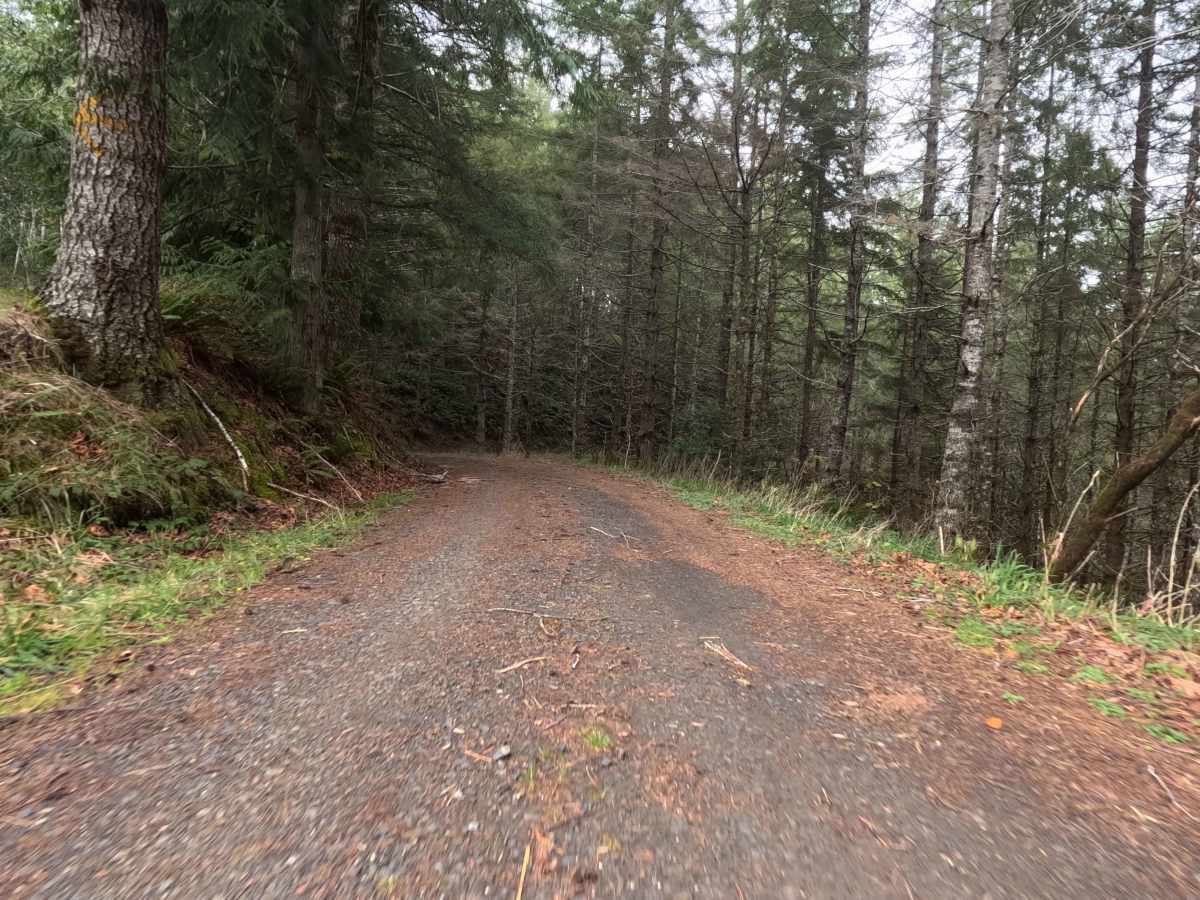 Tenmile Butte Road - 3500 photo 6