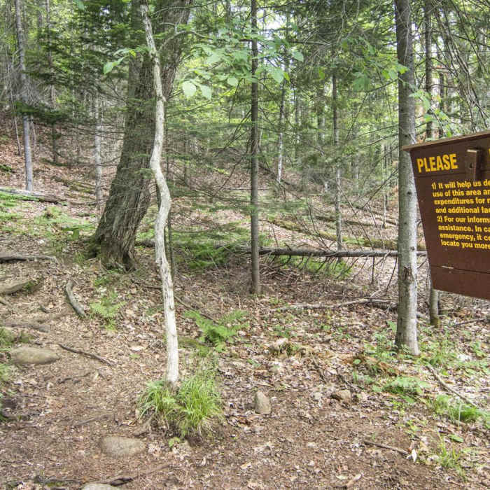 Near Snowy Mountain Fire Tower Near Snowy Mountain Fire Tower