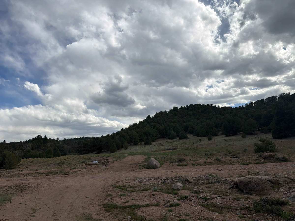  Turkey Gulch Road - BLM 6220 photo 5