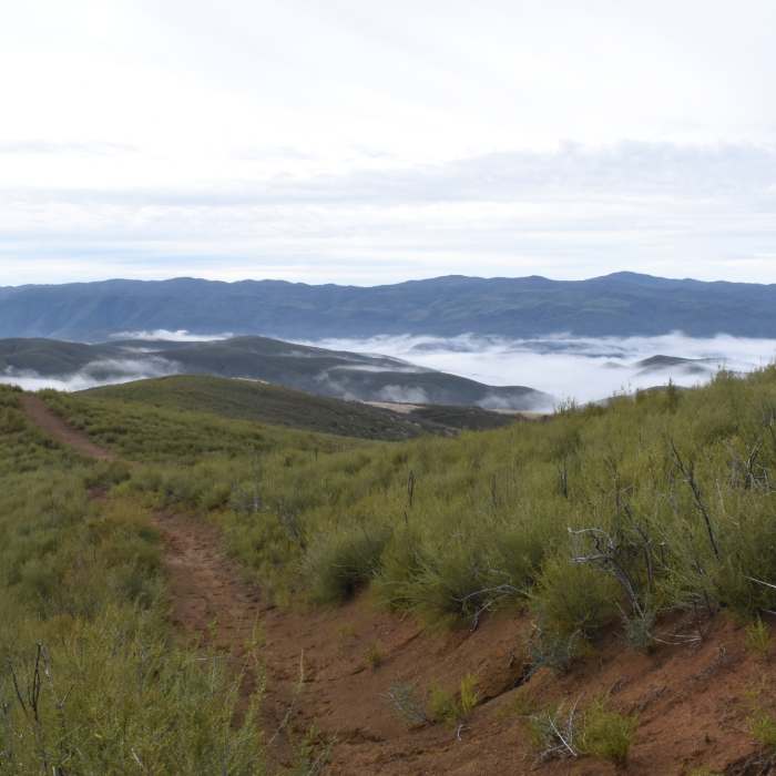 Near Cache Creek Ford