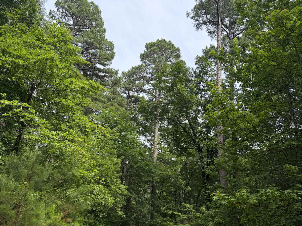 Rocky Ledge photo 2