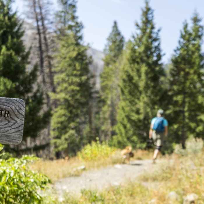 Near Baker Lake Hike