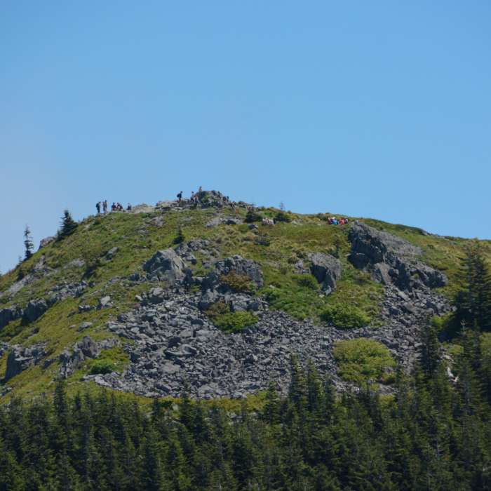 Near Sturgeon Trail #180C