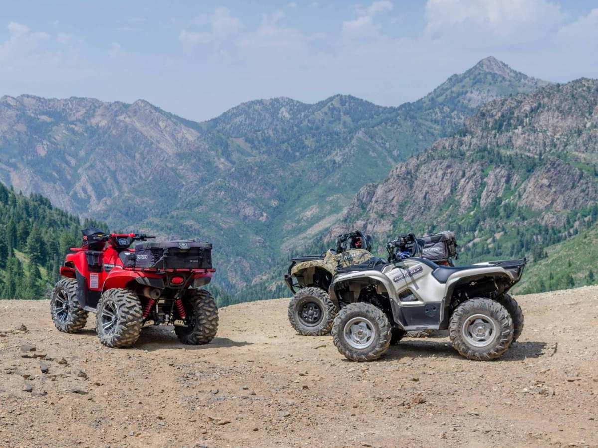 Mineral Fork photo 3