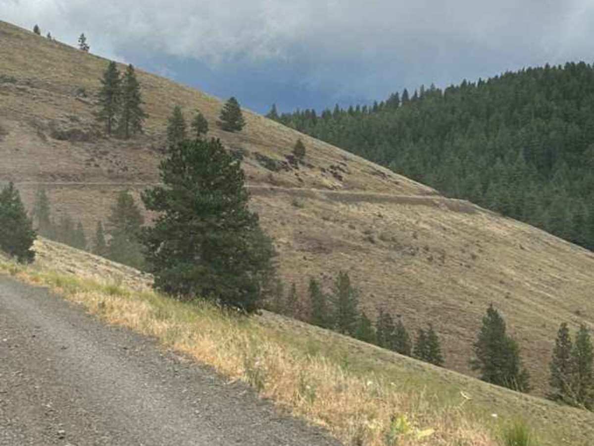 West Fork Weiser photo 5