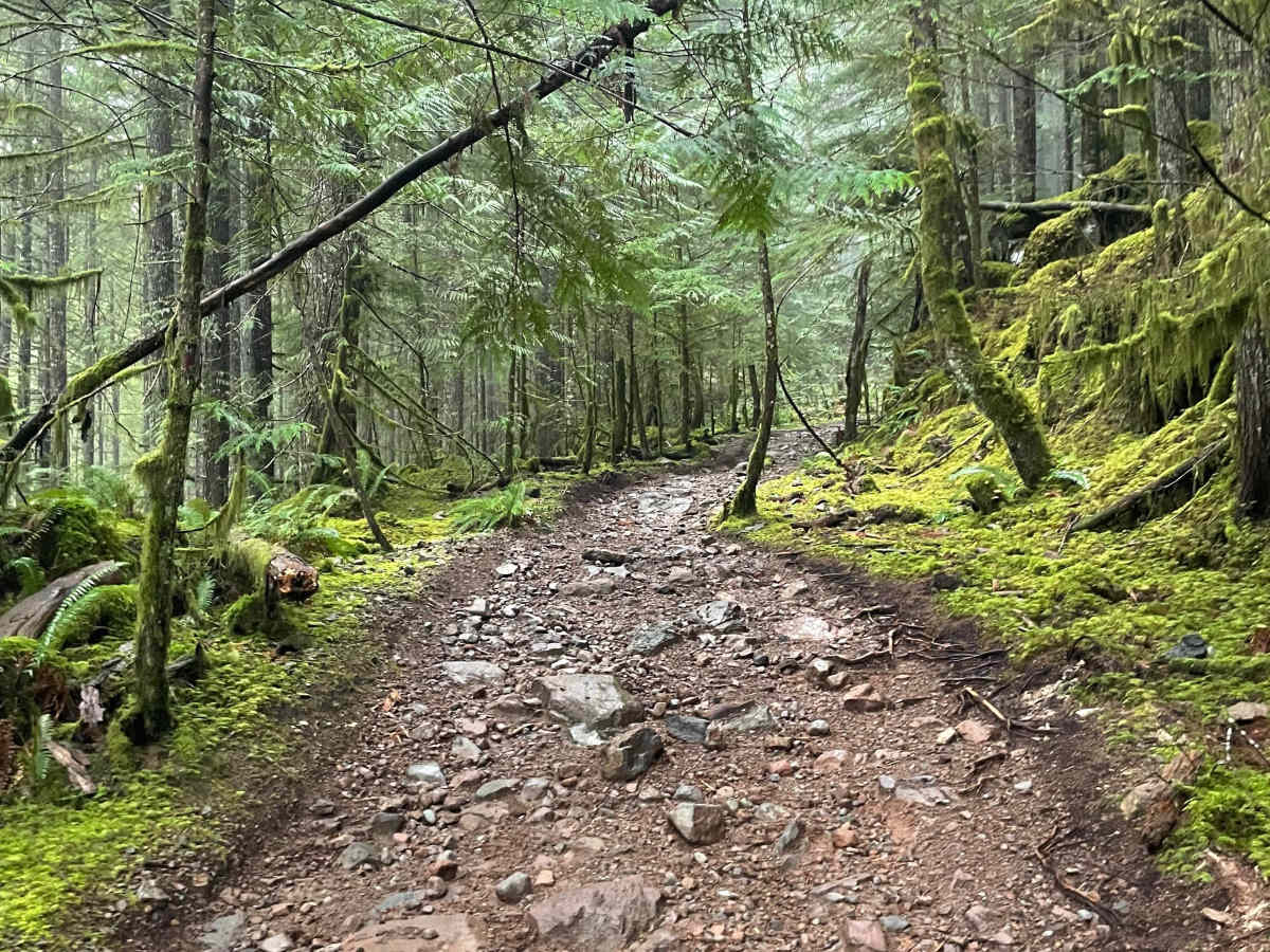 Ring Creek Ridge photo 6