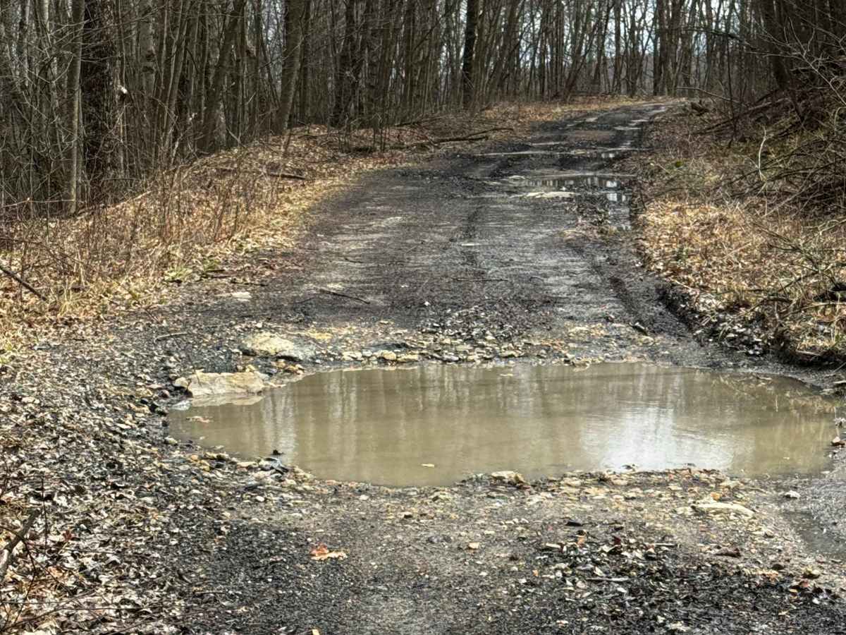 Hog Back Mountain Trail photo 4