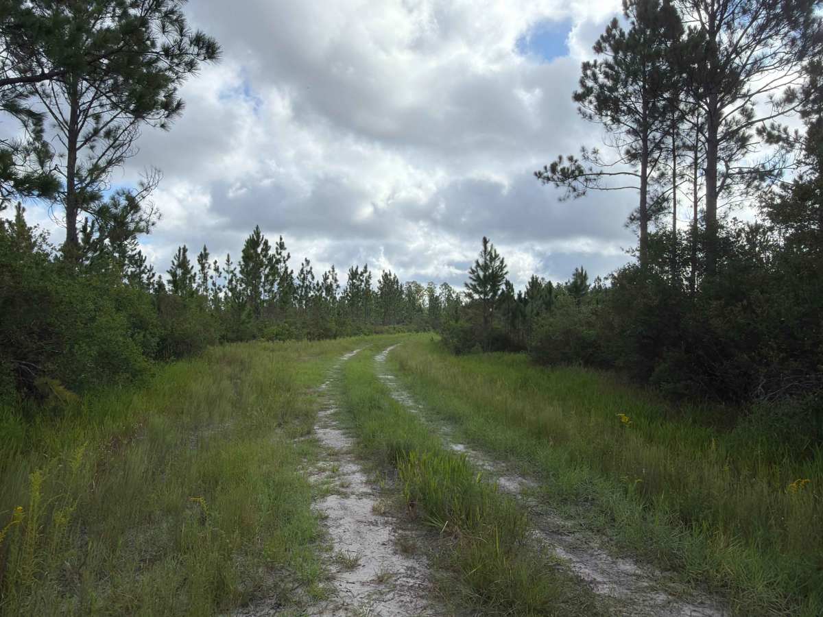 Little Bear Bay - FS 221 photo 6