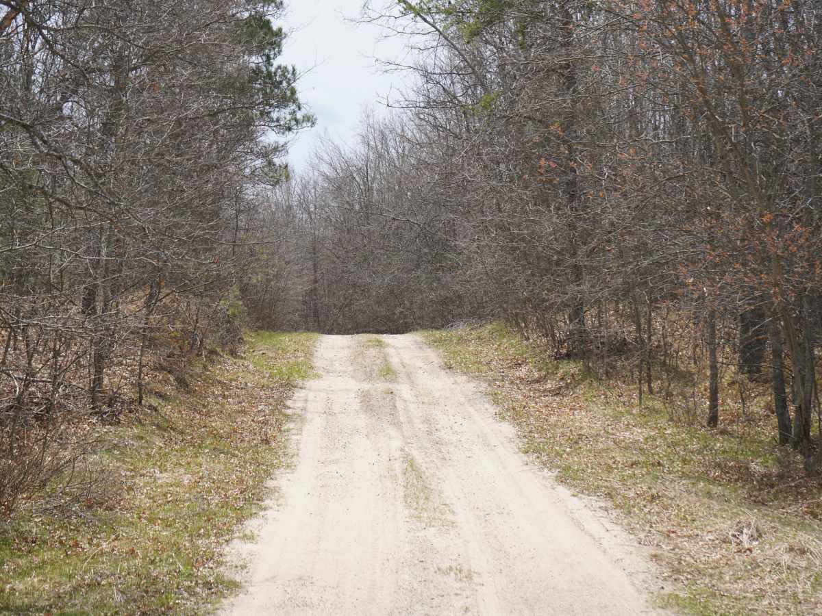 Meridian Road - FS 4165 photo 4