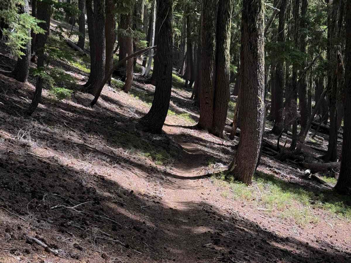 Windy Pass photo 5