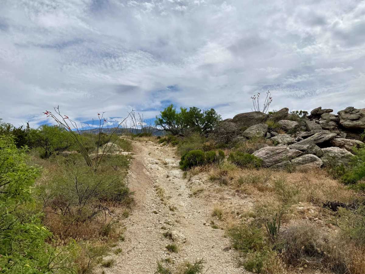 Mesa De La Oso Loop photo 2