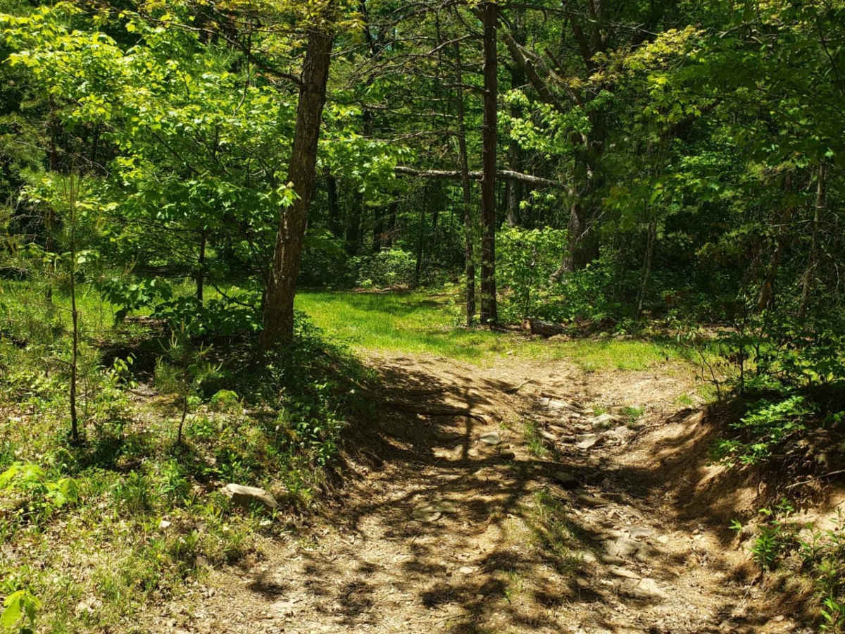 Leading Ridge photo 5