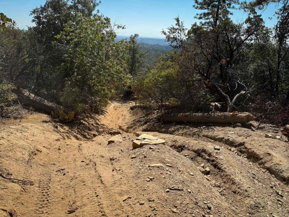 Trail 1 (Advanced) (11E23)  photo 4