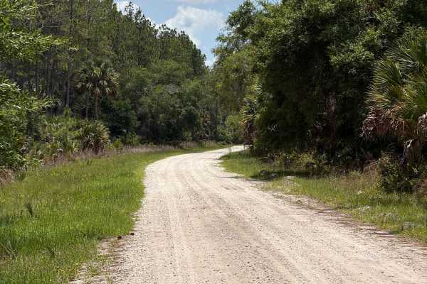 St Johns River Road