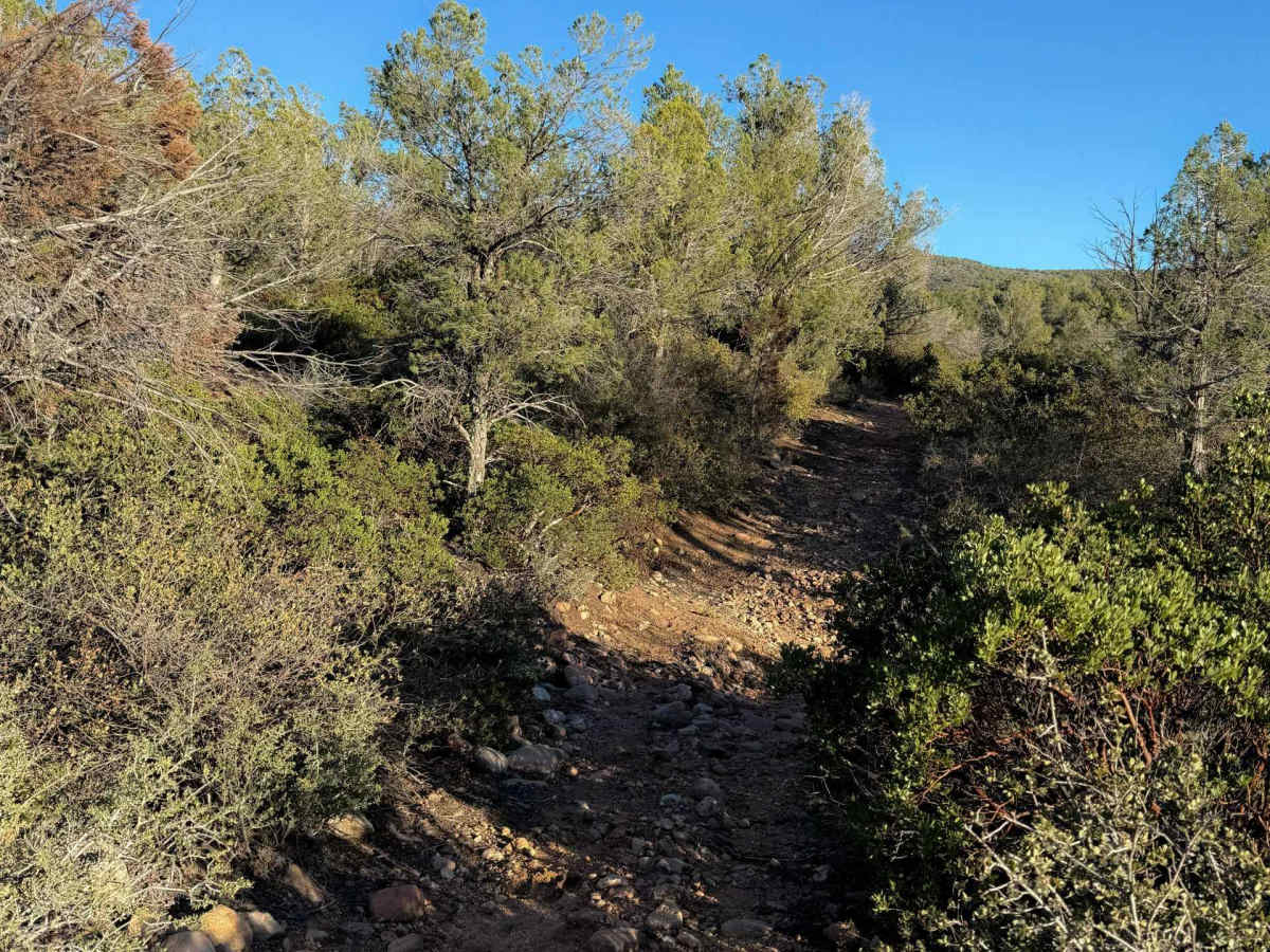 Cottonwood Spring #664  photo 5