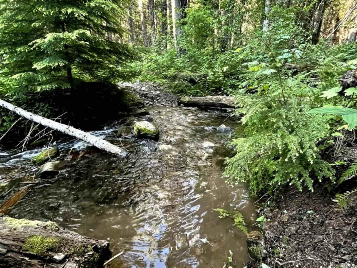 Graham Creek photo 4