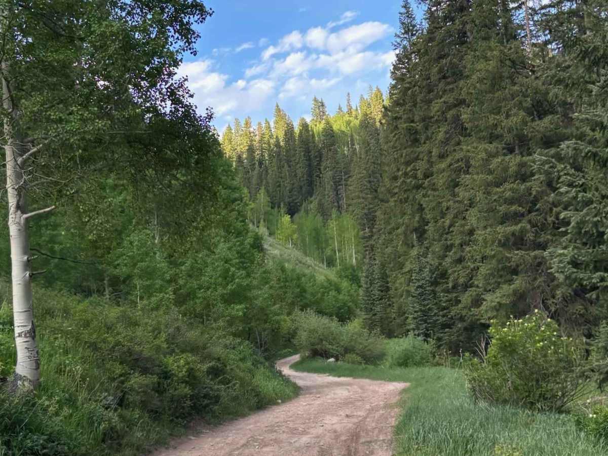 Little Box Road trail photo