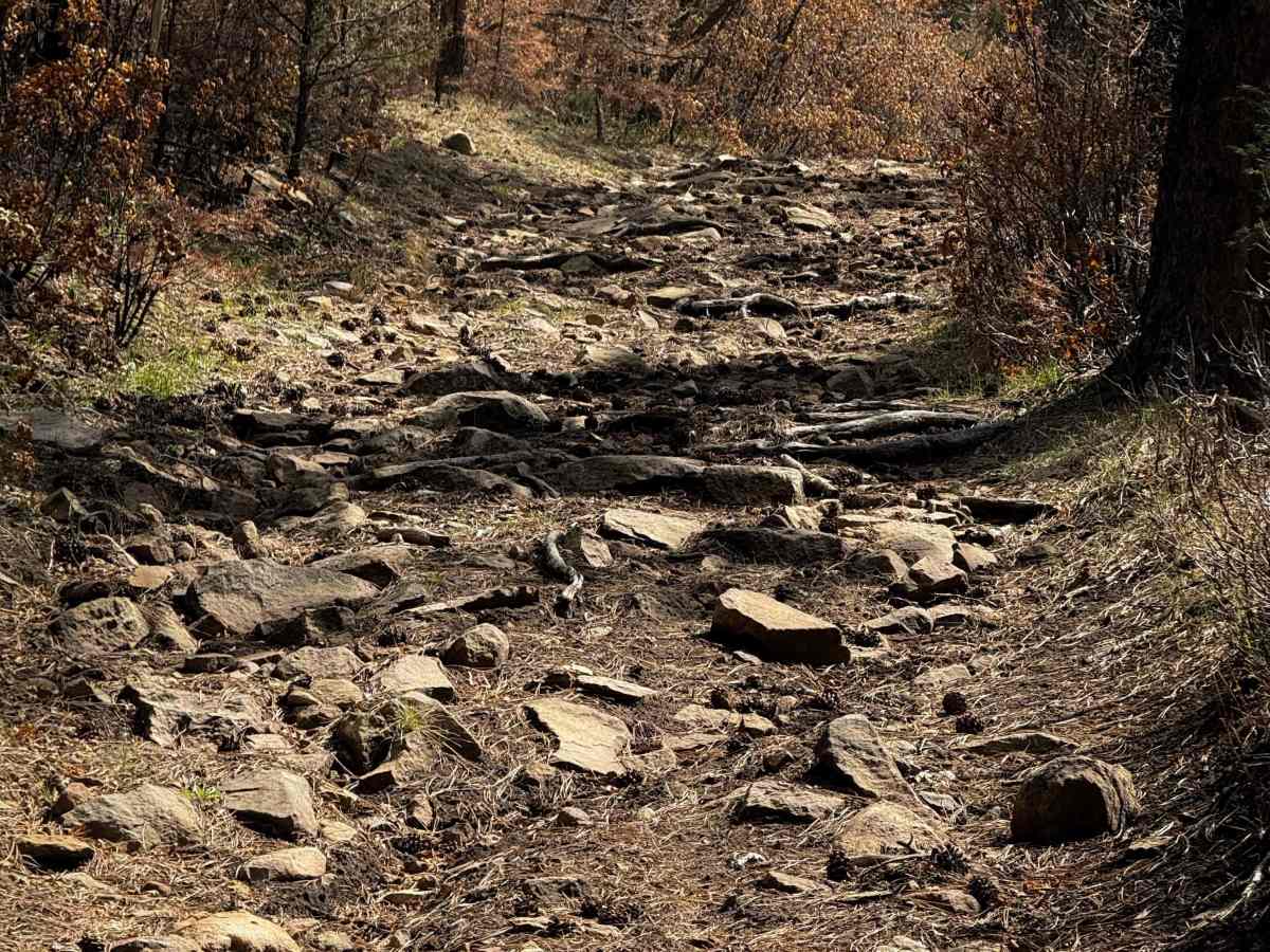 705 trail photo