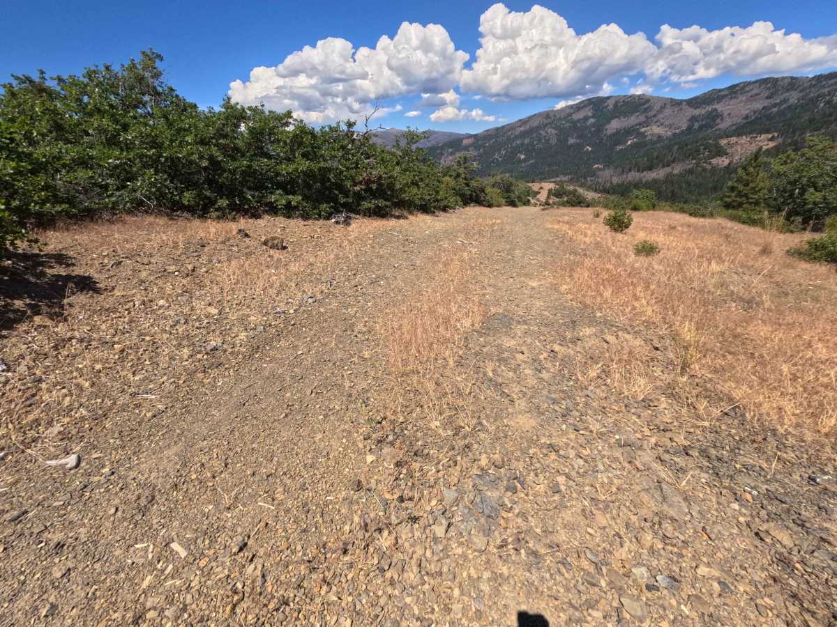 Little Baldy - FS 23N17 photo 5