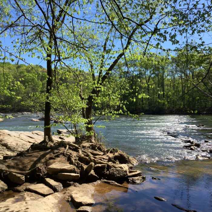One of the many lovely riverside vistas... Near Island Ford South Loop