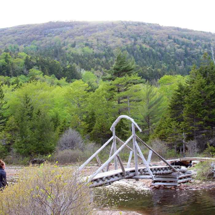 Marlean on the Jordan Pond Path Trail. Near Deer Brook Trail