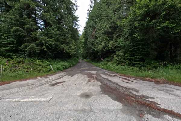 Sauk Mountain Road - FS 1036