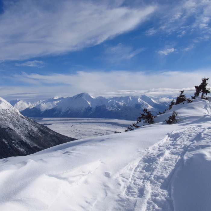 Near Bird Ridge Overlook