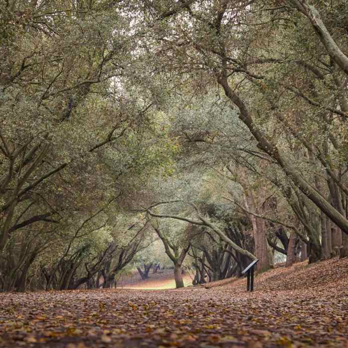 Near Lodi Lake Nature Loop