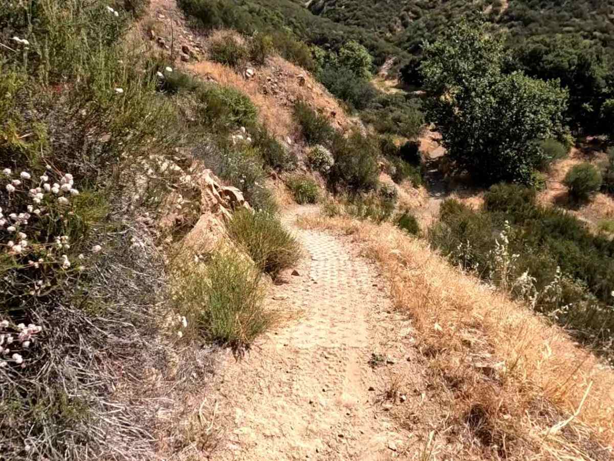 Sidewinder OHV Trail photo 4