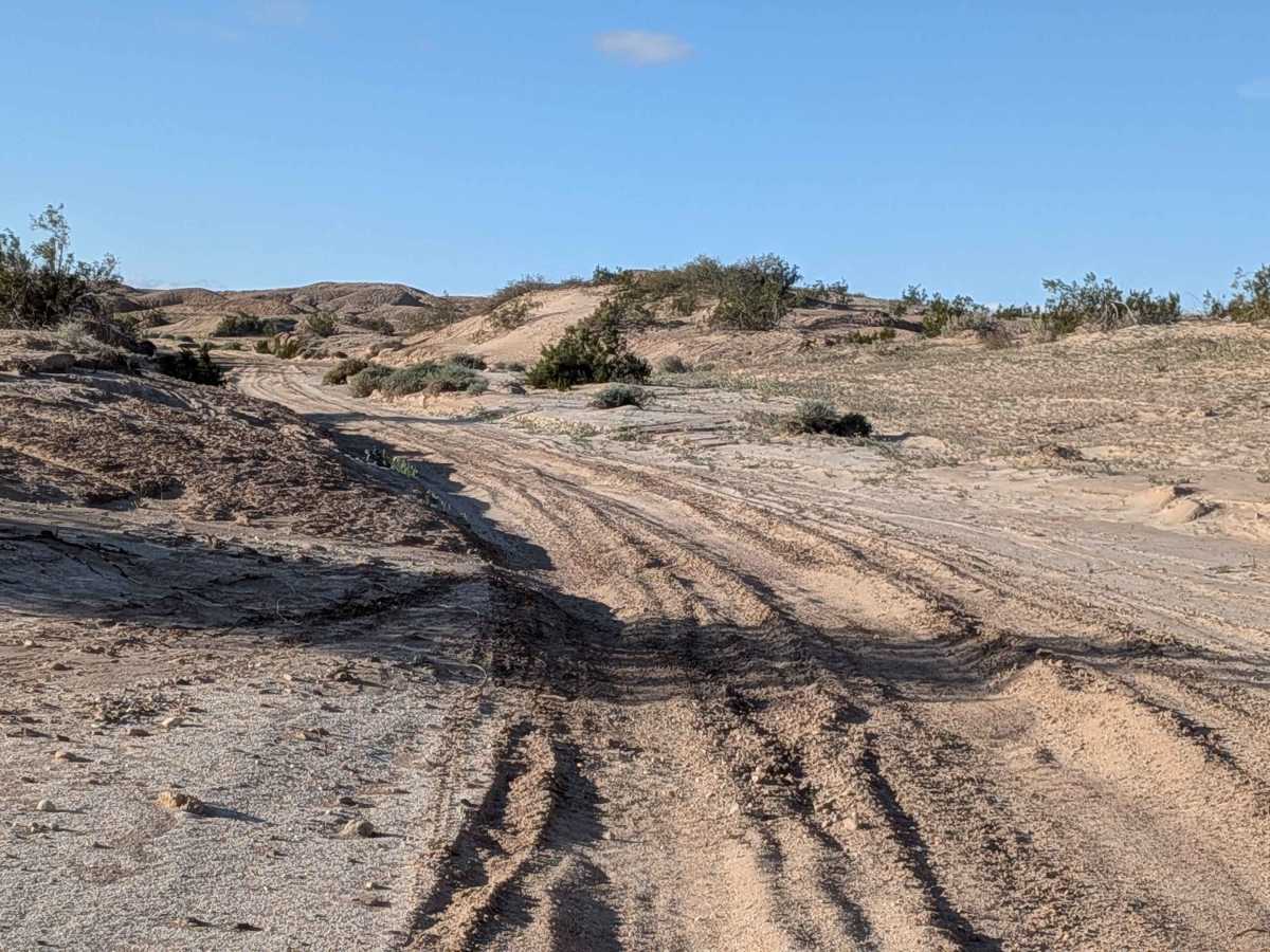 BLM 324 photo 6