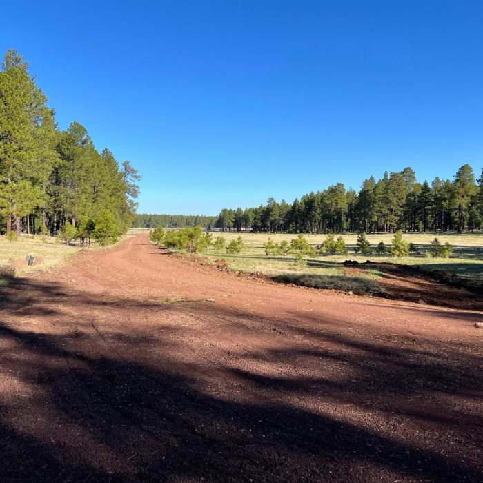 Near Arizona Trail Passage 29: Mormon Lake
