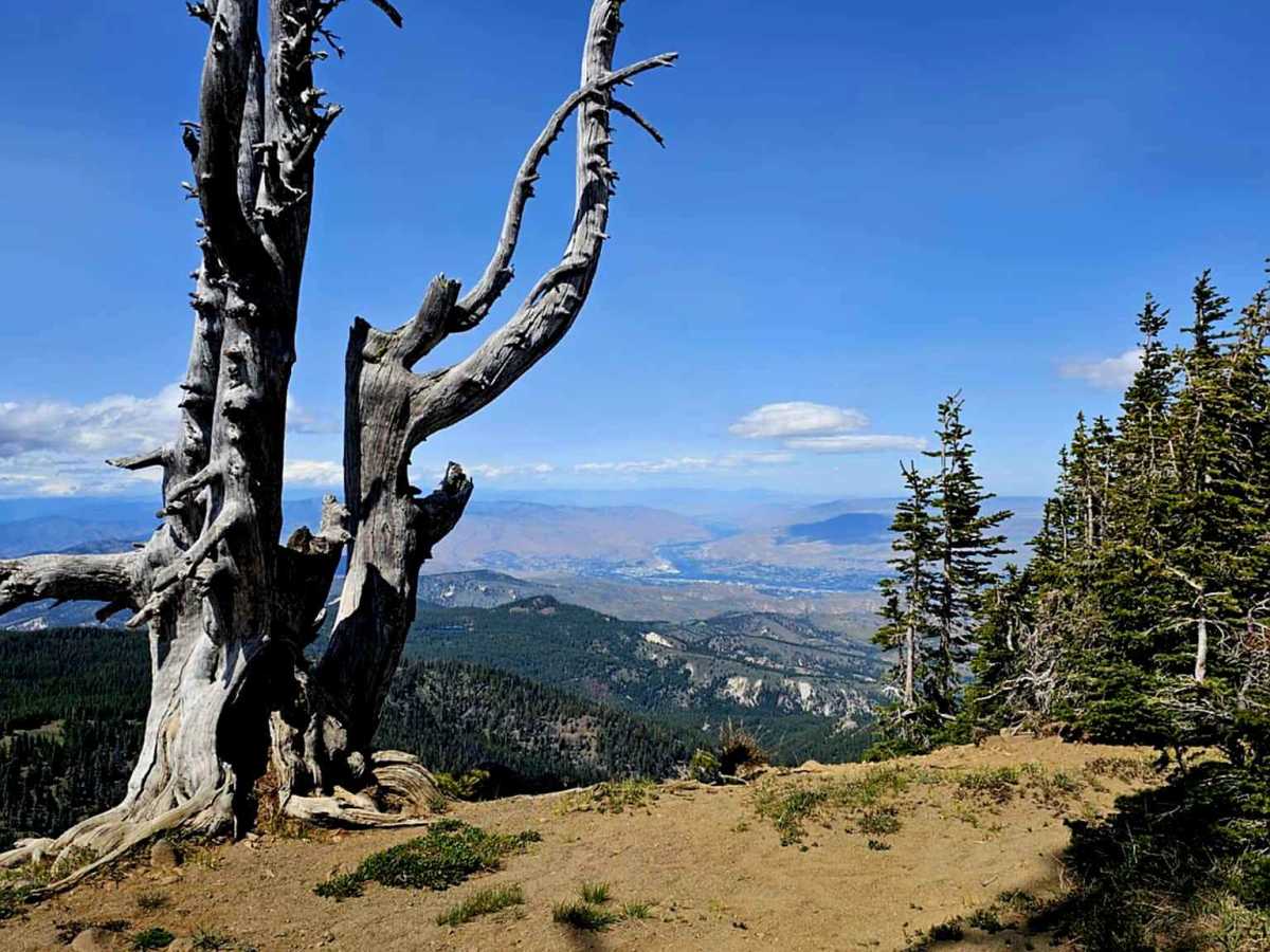 N3610 trail photo