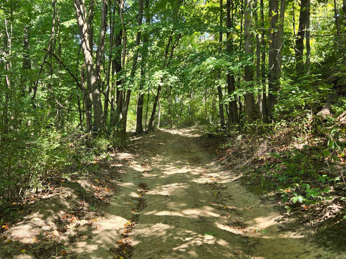 Trail 54  photo 3