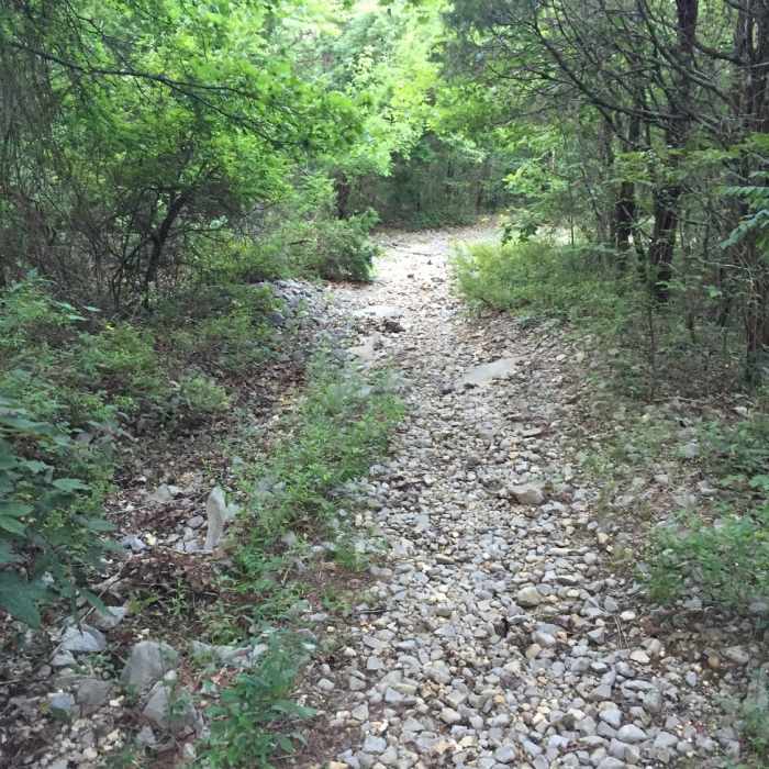 Near Toll Gate Trail