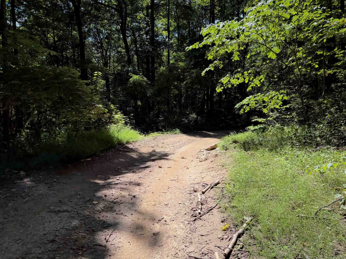 Pond Trail 29  photo 3