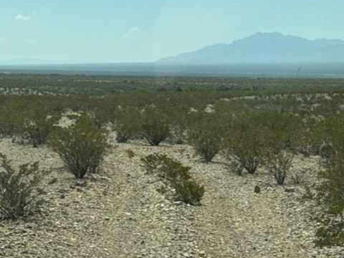 SS1170 - Part B trail photo