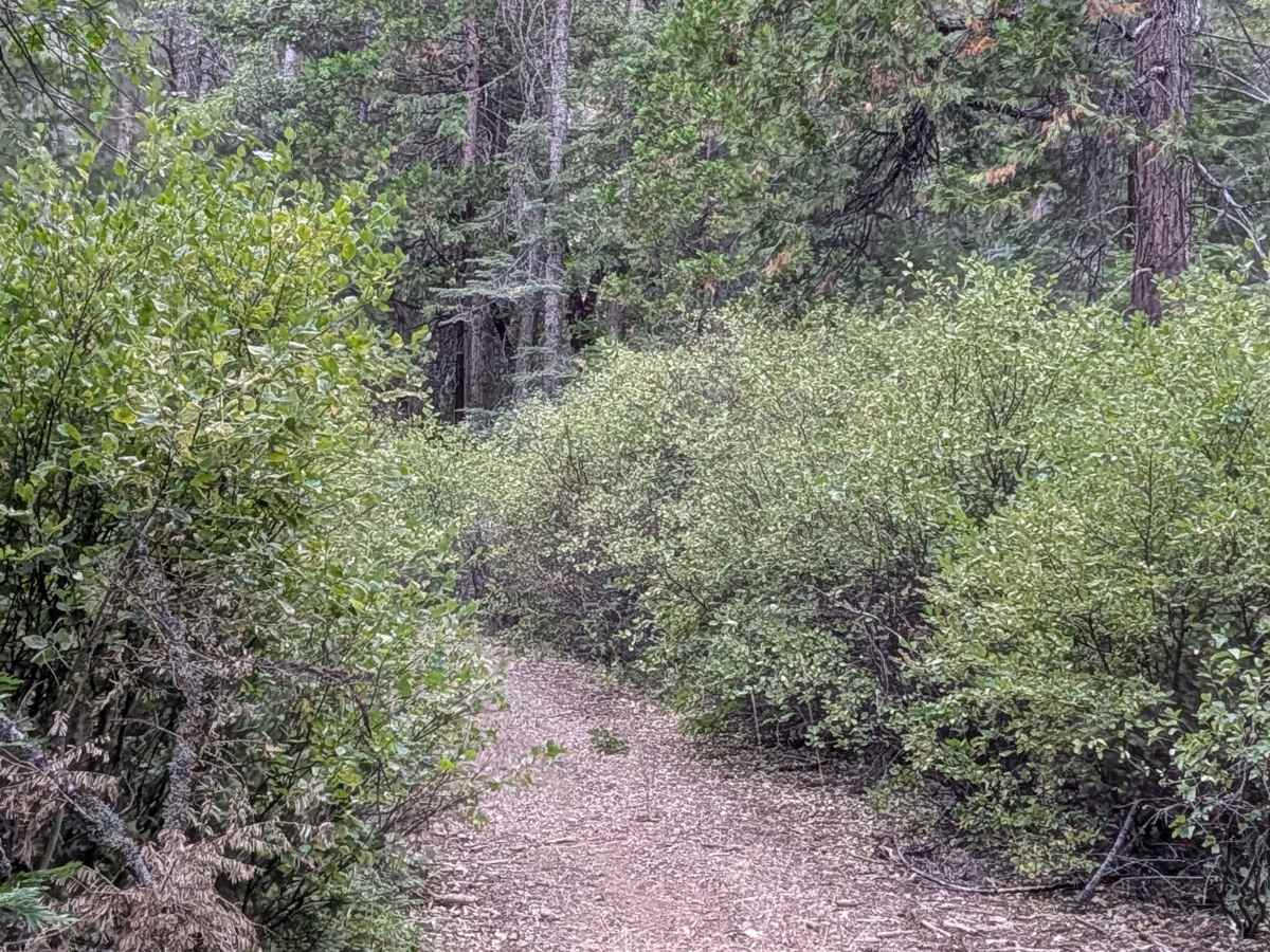 Fort Mountain - FS 53052 photo 2