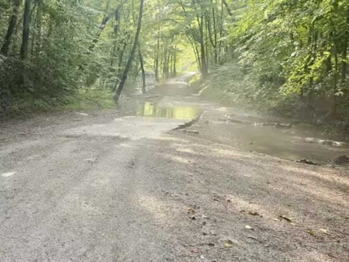 Lower Creek Road photo 4