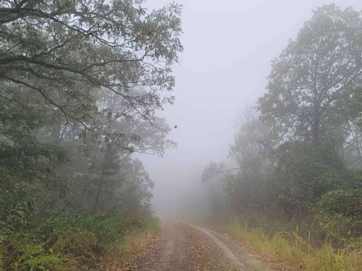 Baker trail photo