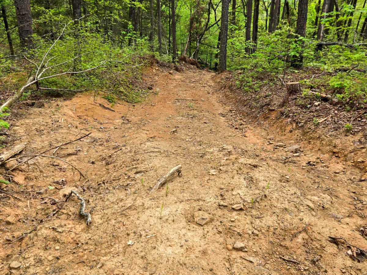 Perry Curve trail photo