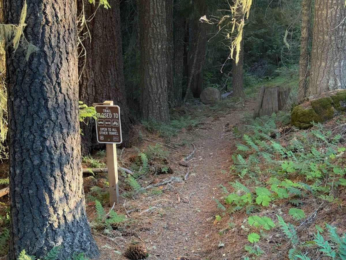 Sunshine OHV #22 trail photo