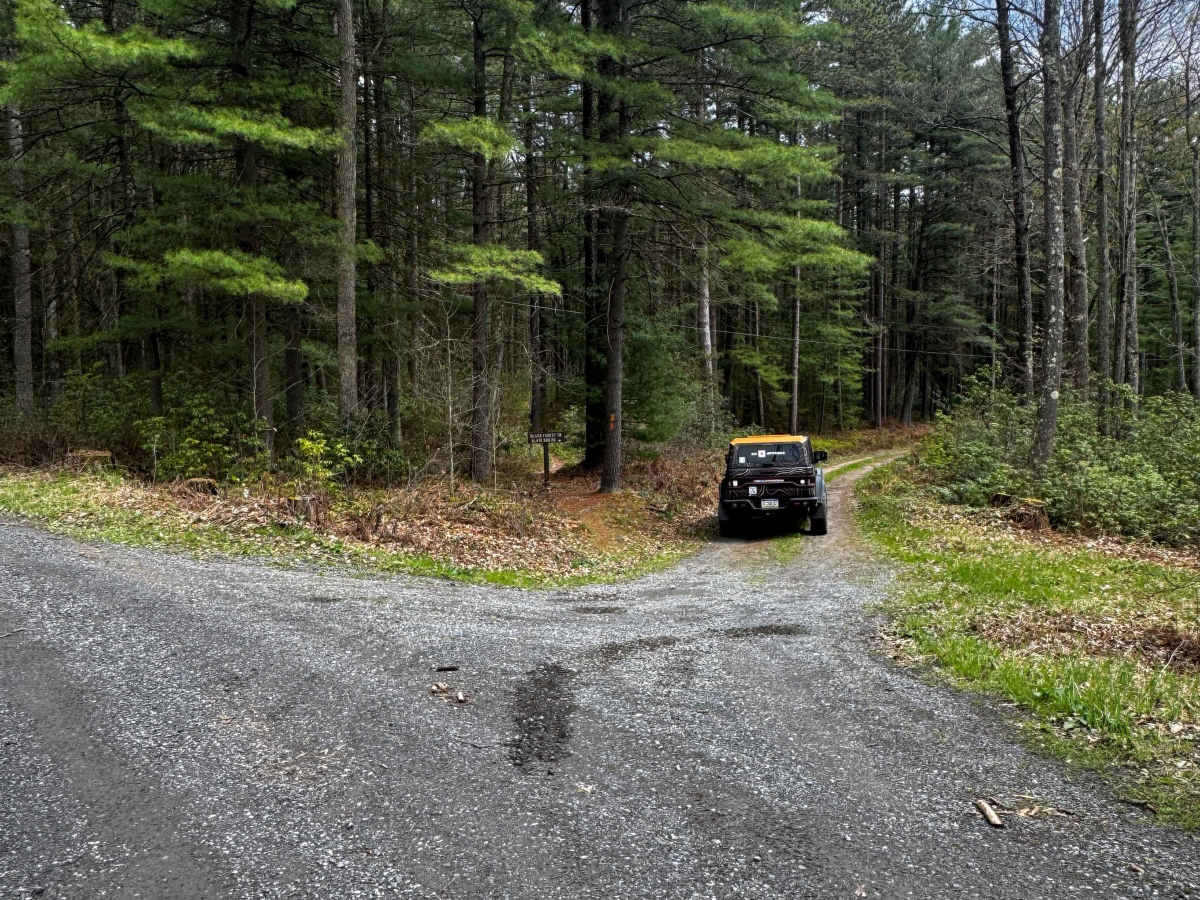 Pine Hollow Road photo 2